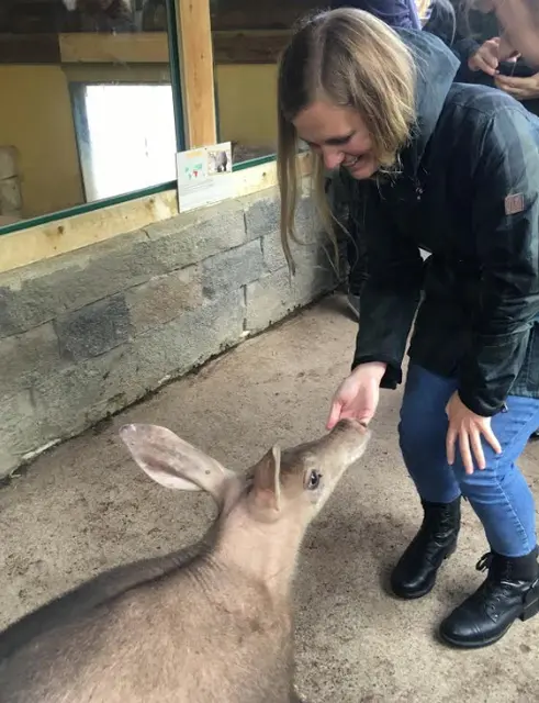 A woman leaning down to greet an aardvark